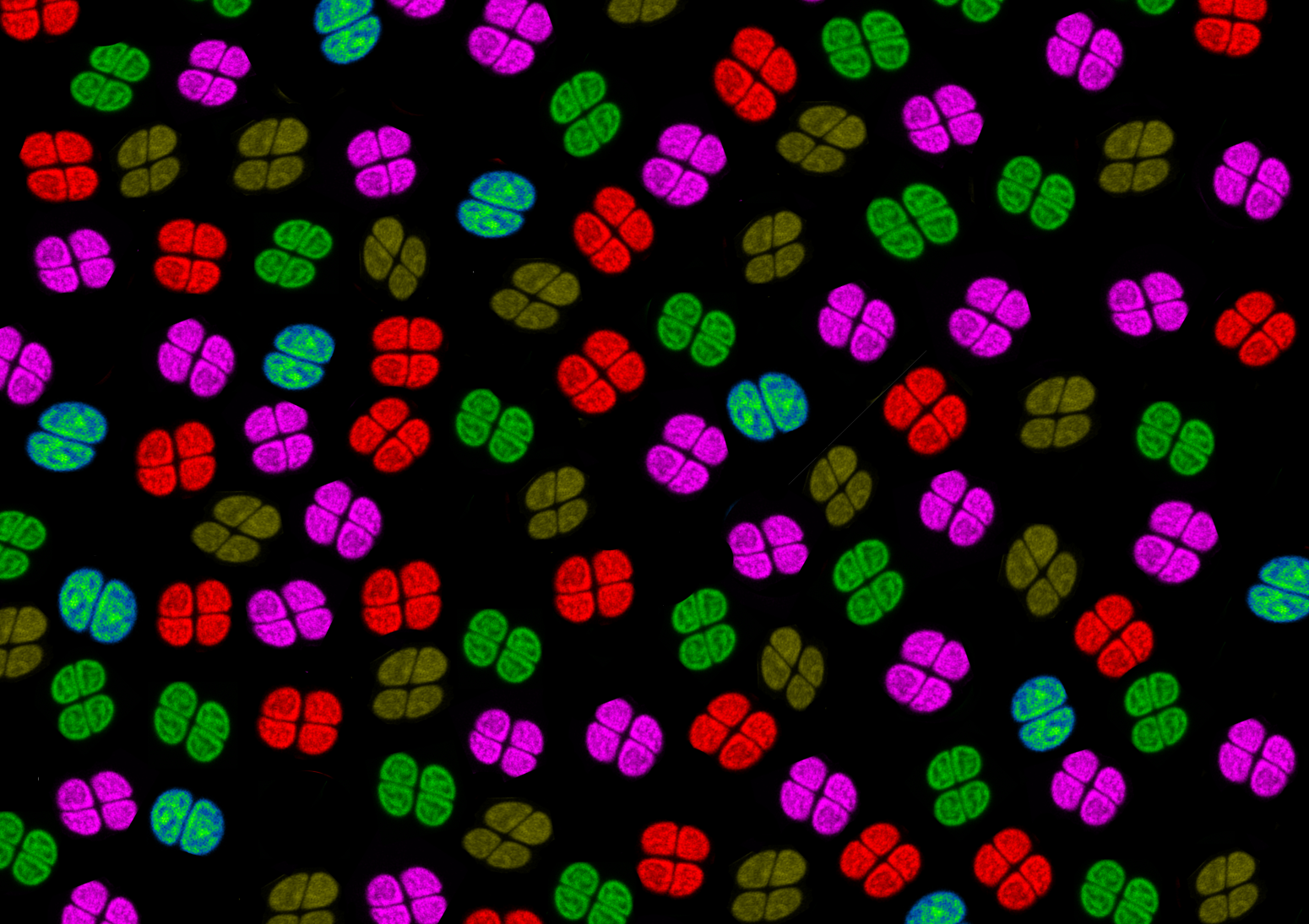 NRMC-F NRMC-F