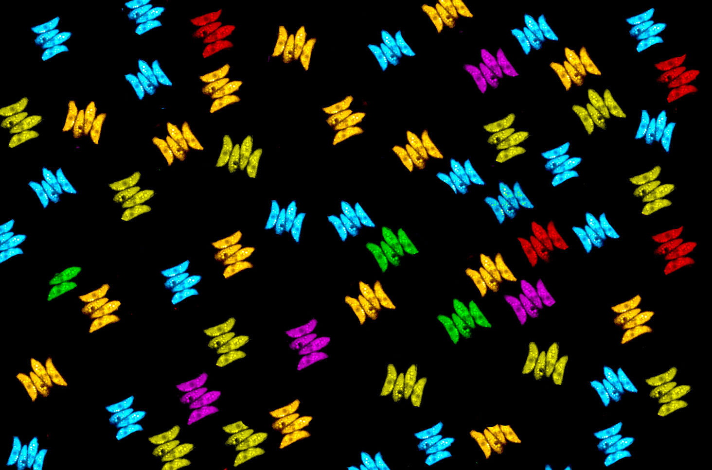 NRMC-F NRMC-F