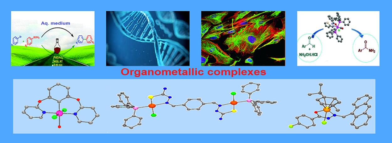 Centre for Organometallic Chemistry